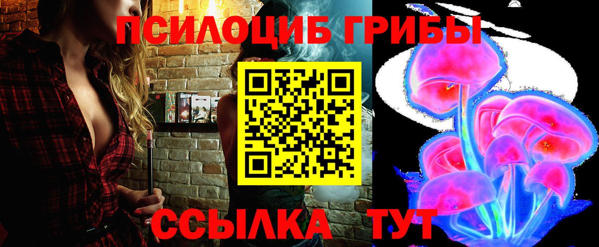 Галлюциногенные грибы Psilocybe Кувандык